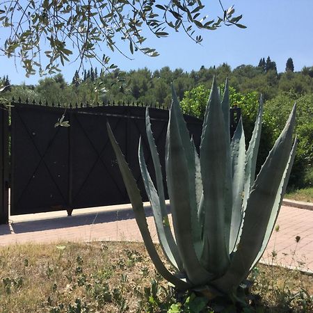 Villa Pax Maris Klek Εξωτερικό φωτογραφία